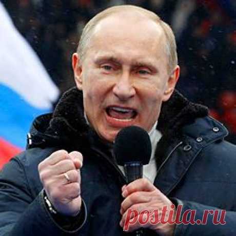 Самое интересное в сети