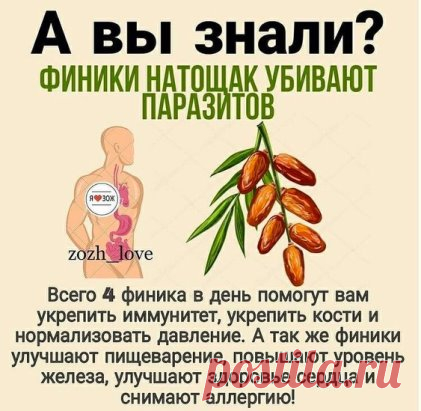 А вы знали?