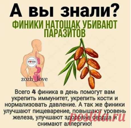 А вы знали?