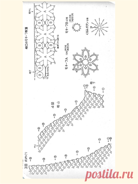 scale_1200 (567×756)