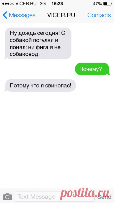 СМСки о наших домашних любимцах