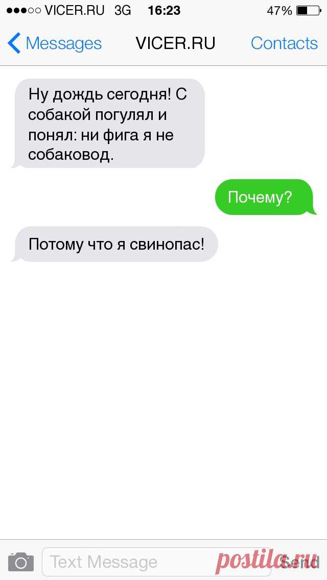 СМСки о наших домашних любимцах