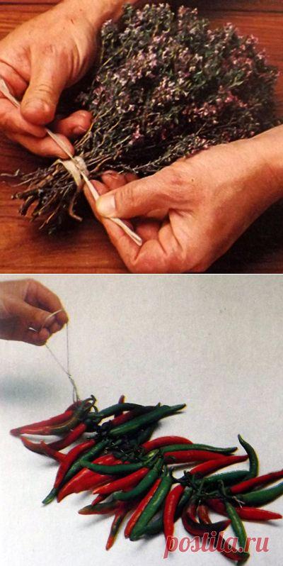 Пряные травы - способ сушки. Пошаговые фото. | Хозяева дома.