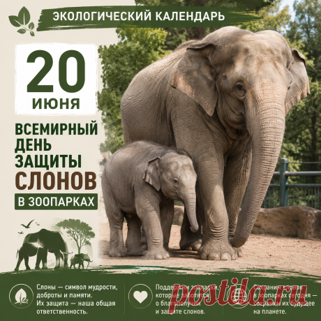 «20 июня: день, когда слоны в зоопарках просят о помощи» | PortalBio