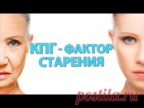 Чтобы долго не стареть: межклеточный матрикс и конечные продукты гликирования (КПГ)
