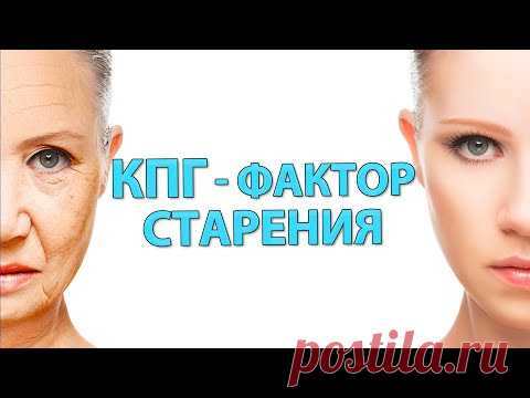 Чтобы долго не стареть: межклеточный матрикс и конечные продукты гликирования (КПГ)