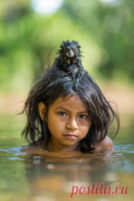 50 лучших снимков года по версии журнала National Geographic