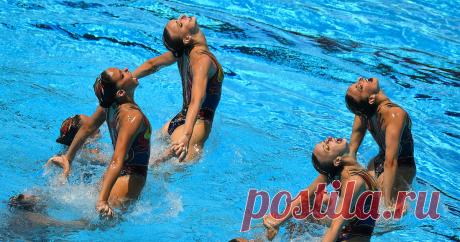 Синхронное плавание переименовали в артистическое. Новости России 24 Сегодня