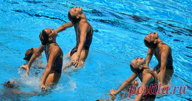 Синхронное плавание переименовали в артистическое. Новости России 24 Сегодня