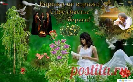 Ворожи не ворожи