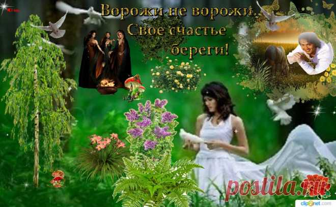 Ворожи не ворожи