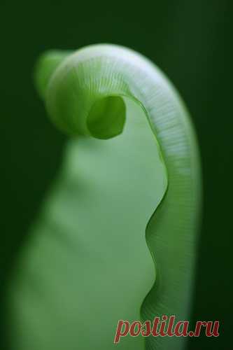 2591453632_a6ec8d7470.jpg (333×500)