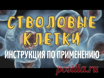 Стволовые клетки 1909-2020. Чудо или Маркетинг? Инструкция по применению