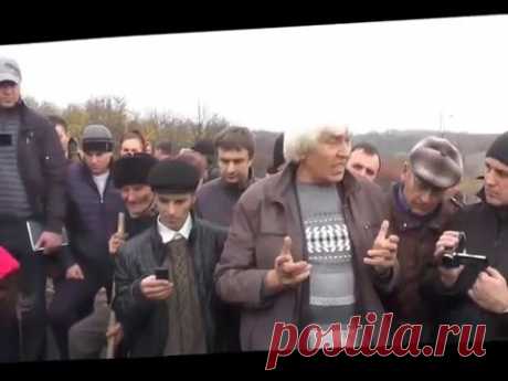 Посадка ореха по „методу Киктенко”...
