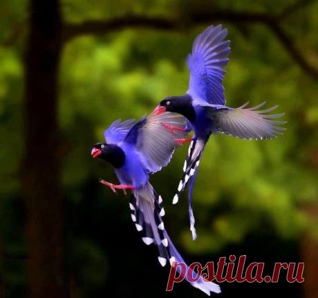 Василий Тимошин vasiliy-timoshin (Vasilek), Москва, Россия на Мой Мир@Mail.RU