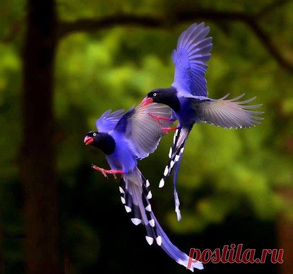 Василий Тимошин vasiliy-timoshin (Vasilek), Москва, Россия на Мой Мир@Mail.RU