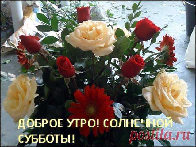 Весна шепнет тебе: 
"Живи..." 
И ты от шепота качнешься. 
И выпрямишься. 
И начнешься. 
Все начинается с любви!