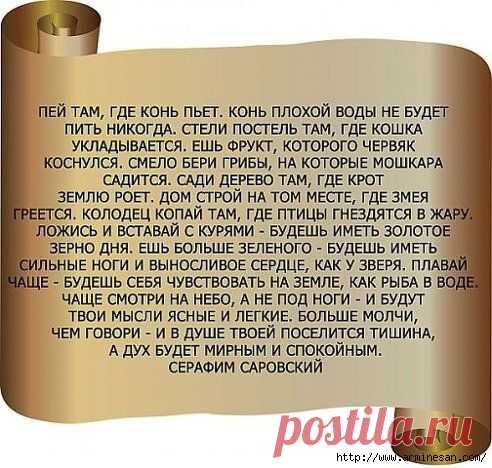 ЖИТЕЙСКАЯ МУДРОСТЬ ОТ СЕРАФИМА САРОВСКОГО.