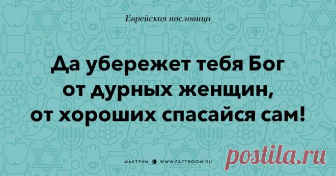 Остроумные еврейские пословицы, которые добавят Вам мудрости!