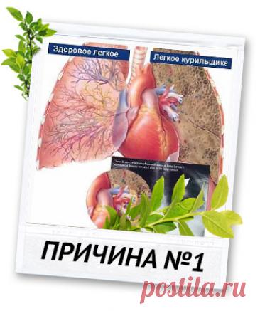 Монастырский чай от курения
Основные действия монастырского чая


Смягчает синдром отмены и предупреждает все связанные с ним неприятные моменты – тошноту, головные боли, рассеянность внимания, нарушение сна и т.д.
Успокаивает нервную систему, снимает нервозность, раздражительность, депрессивные состояния
Удерживает от набора лишнего веса, улучшает метаболизм, снижает аппетит
Способствует более быстрому очищению легких, а также всего организма от ядов, токсинов и свободных...