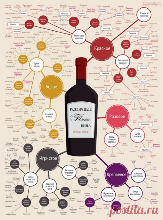 11 примеров полезной инфографики о еде. Не знаю как ты, а я точно повешу их на холодильник!