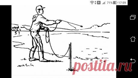 Донка: заброс, сигнализатор поклевки + улов в садке | Блоги о даче и огороде, рецептах, красоте и правильном питании, рыбалке, ремонте и интерьере