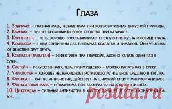 Справочник самых необходимых лекарств