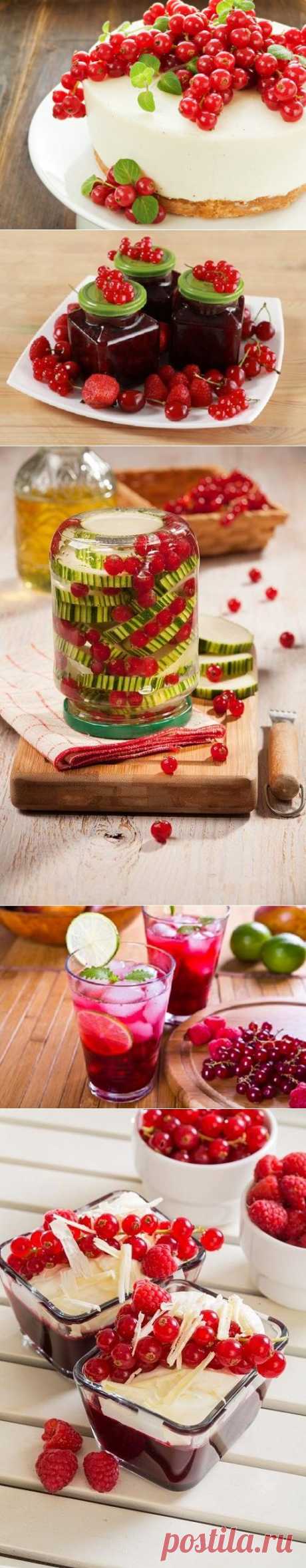 Вкус лета: 10 ярких рецептов с красной смородиной