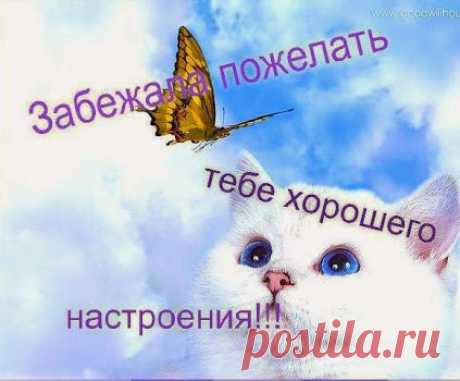 Архив открыток отправленных 26 Марта 2016 года. Добавили: Nina Konisidi, Леонора Елена Пере, Вольный Монах, Таисия , Марина Соколова, Светлана , Ро Мио, Савелий Хаустов, Надя Алексеева, Надежда Орлова
