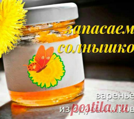 Варенье из одуванчиков — замечательное средство при слабости и простуде.

Рано утром собрать 500 головок одуванчиков (одни головки, без стеблей). Выбирайте самые крупные и раскрытые. Принесите домой, тщательно вымойте, замочите в холодной воде, так оставьте все на сутки. Лучше поменять несколько раз воду. Так уйдет вся горечь.
Показать полностью…