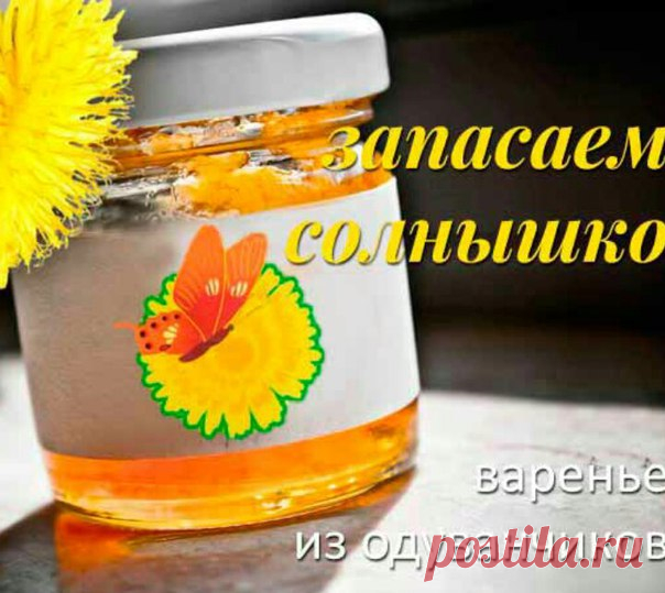 Варенье из одуванчиков — замечательное средство при слабости и простуде.

Рано утром собрать 500 головок одуванчиков (одни головки, без стеблей). Выбирайте самые крупные и раскрытые. Принесите домой, тщательно вымойте, замочите в холодной воде, так оставьте все на сутки. Лучше поменять несколько раз воду. Так уйдет вся горечь.
Показать полностью…