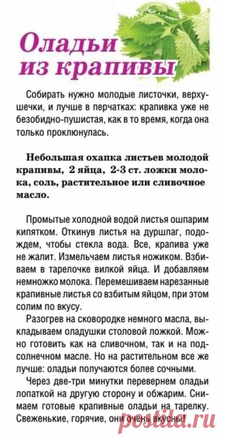 Оладьи из крапивы