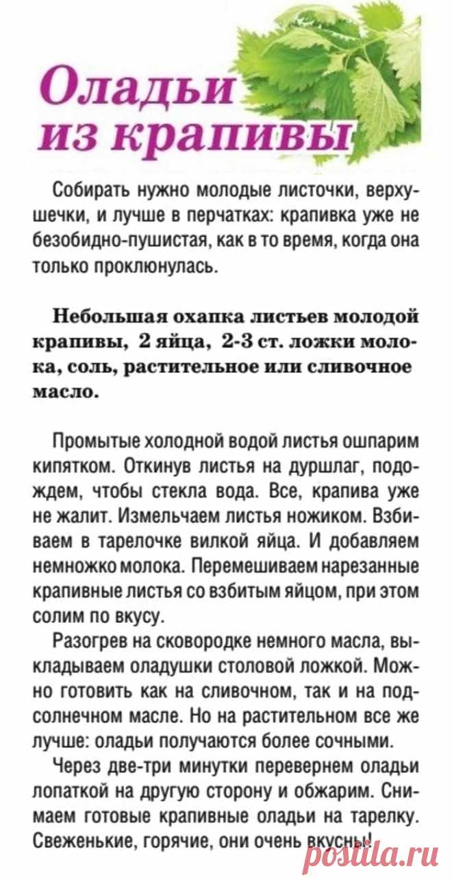 Оладьи из крапивы