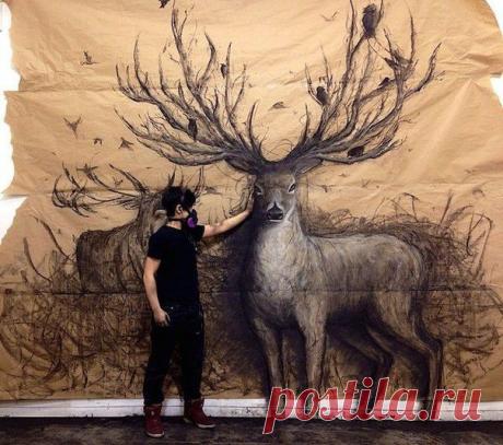 3D рисунки на стенах / Удивительное искусство