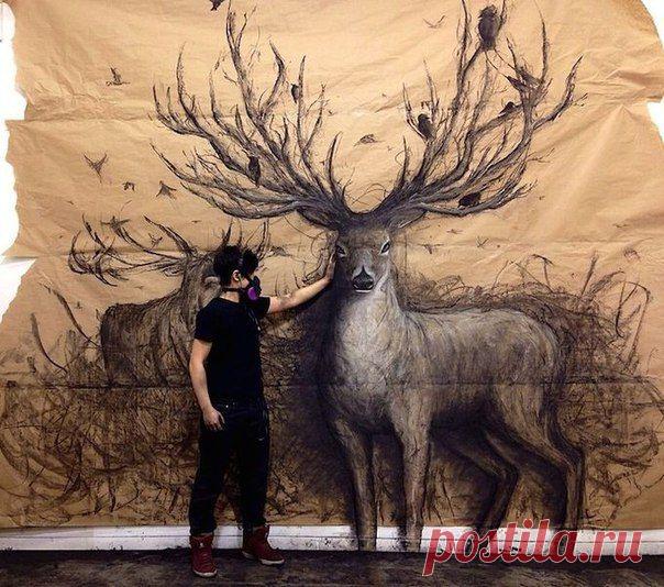 3D рисунки на стенах / Удивительное искусство