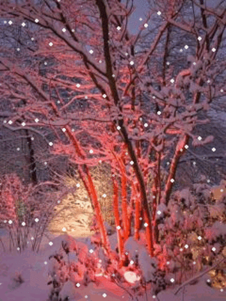 1202344.gif (240×320)