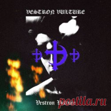 Vestron Vulture - Vestron Vulture (2025) [EP] Artist: Vestron Vulture Album: Vestron Vulture Year: 2025 Country: USA Style: Coldwave, Darkwave