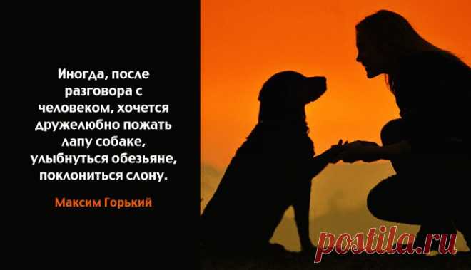Настроение >Мысли вслух,,,,,,