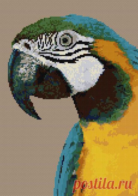 Найдено на сайте cross-stitch-pattern.net.