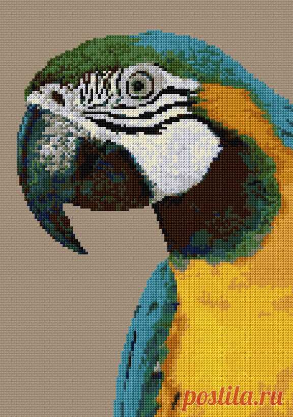 Найдено на сайте cross-stitch-pattern.net.