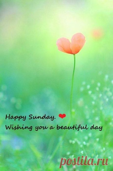 eea34bb4c5ad0675d42a3fcb076c2c6c.jpg (477×720)