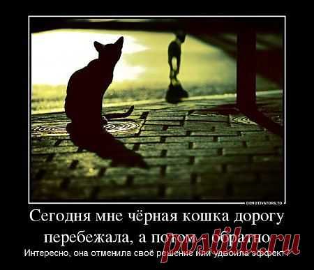 Мой Мир@Mail.Ru