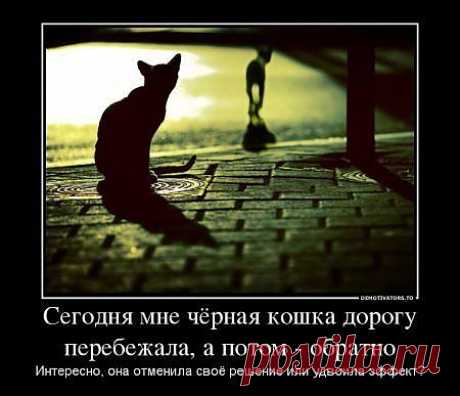 Мой Мир@Mail.Ru