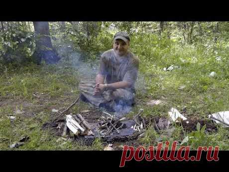 Как добыть соль в лесу.