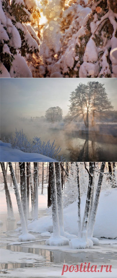 С первым днём зимы! - в блоге Blogbaster.org