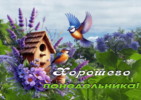 Цветущая гиф-открытка, хорошего понедельника