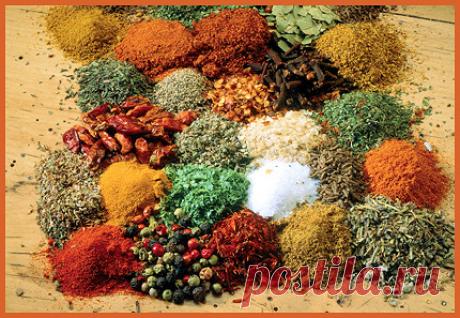 Магия специй