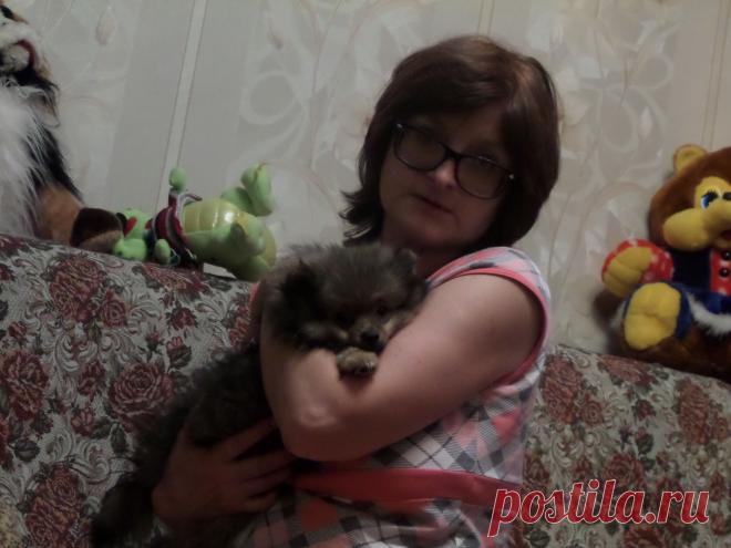 Мишке 2 месяца,таким он к нам пришёл