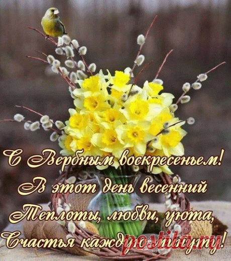 С Вербным воскресеньем!
С радостным деньком!
Пусть благоговенье
Заполняет дом.