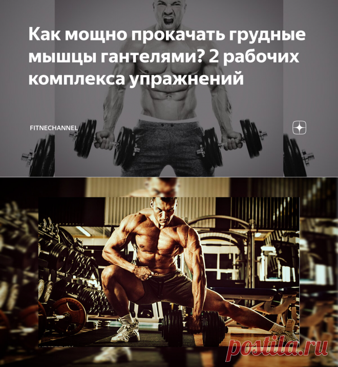 Как мощно прокачать грудные мышцы гантелями? 2 рабочих комплекса упражнений | fitnechannel | Дзен